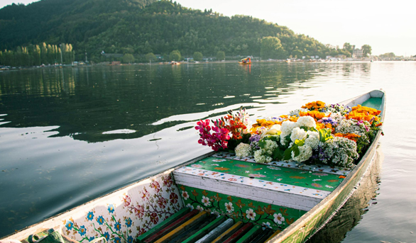 Stunning Vistas Kashmir 